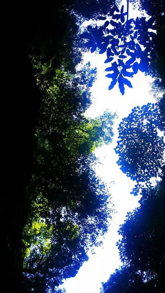 有“抑郁症”的人,可能会有5个“异常”表现,希望你早知道