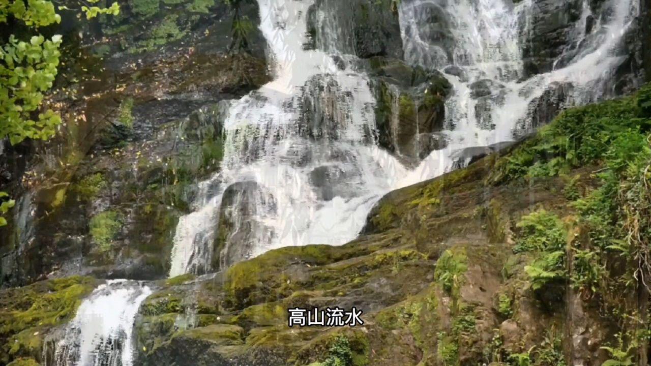 21岁郑钦文夺澳网女单亚军!