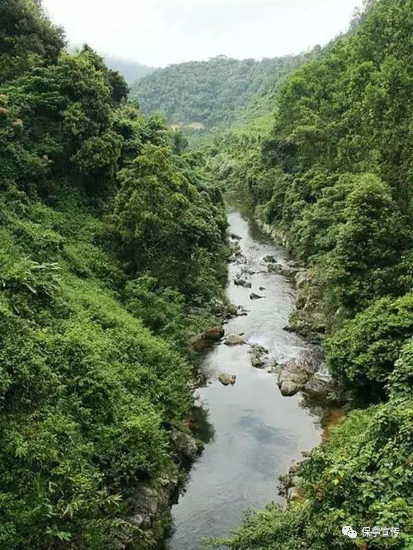 【新春走基层】京津冀开通“车厘子快线”