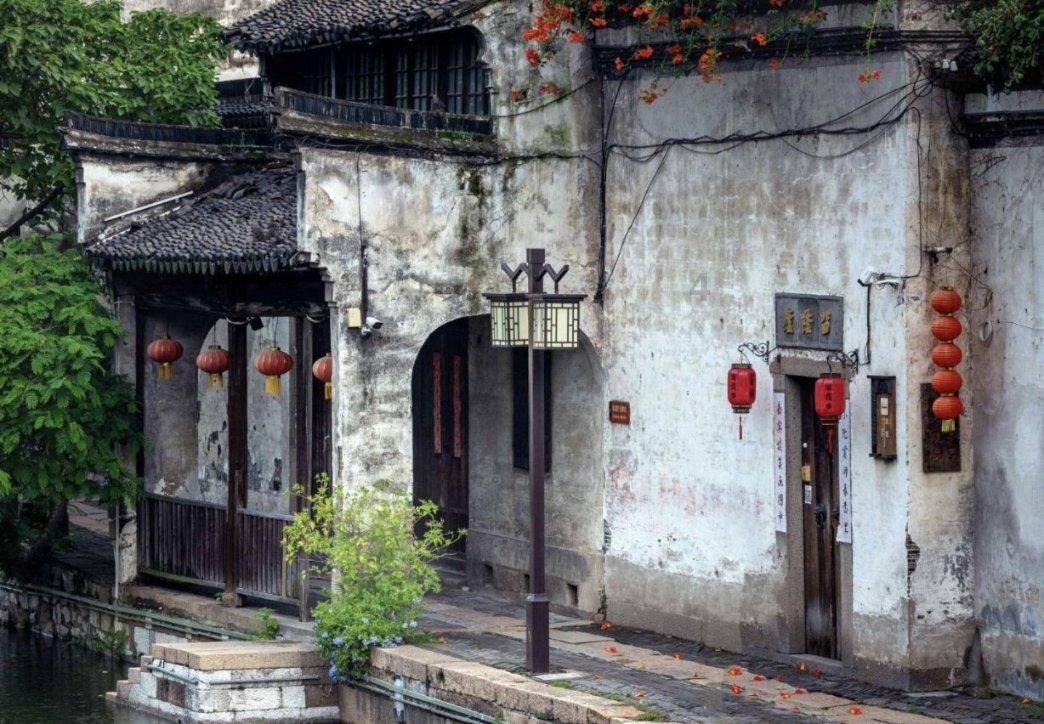 ”见行见效 津彩绽放”活动参赛作品：元旦合唱